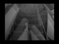 Lažetič, Tanja - Nude Descending a Staircase