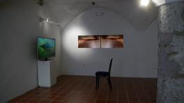 Nataša Prosenc Stearns - Black Waters and Other Stories (installation Kranj)