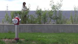 Danilo Milovanović - Urban Plants Cu(l)t