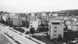 Portreti stavb