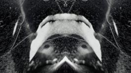 Uršula Berlot - Orcinus Orca