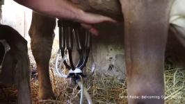 Jatun Risba - Be-coming Cow (trailer)