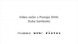  SCCA Ljubljana, Duba Sambolec - Video evening with DIVA Station: Duba Sambolec