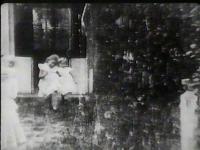 In the Family Garden 1