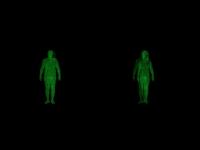 Gender Transmission