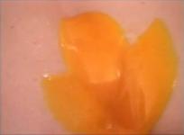 Zvonka T Simčič - Broken h-h-ha... egg