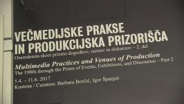 Barbara Borčić - Večmedijske prakse in produkcijska prizorišča