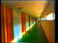 Private Corridors - Public Toilets