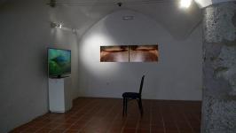 Nataša Prosenc Stearns - Black Waters and Other Stories (installation Kranj) 