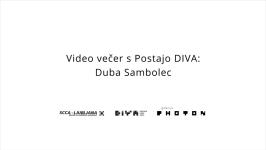 SCCA-Ljubljana, Duba Sambolec - Video večer s Postajo DIVA: Duba Sambolec