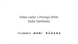  SCCA-Ljubljana, Duba Sambolec - Video evening with DIVA Station: Duba Sambolec