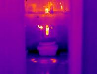 Maja Bojanić - V tvojem svetu se gibljem nepovabljena