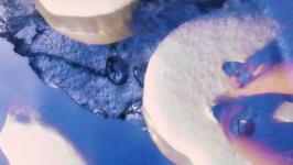 Hannah Koselj Marušič - wavegrave (Dear Annie)