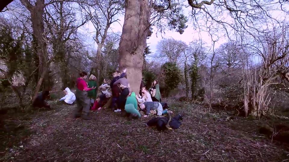 Be-coming Tree - Skupaj kot en gozd (trailer)